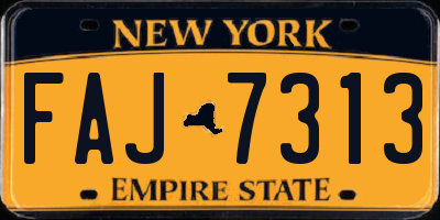NY license plate FAJ7313