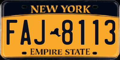 NY license plate FAJ8113