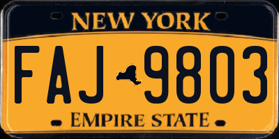 NY license plate FAJ9803