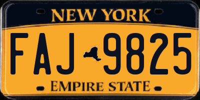 NY license plate FAJ9825