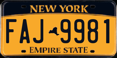 NY license plate FAJ9981