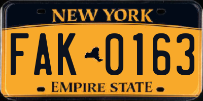 NY license plate FAK0163