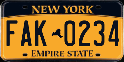 NY license plate FAK0234