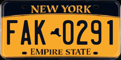 NY license plate FAK0291