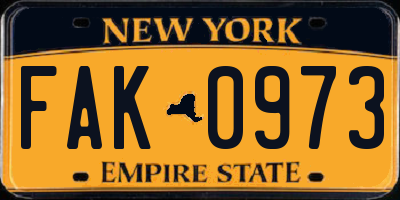 NY license plate FAK0973