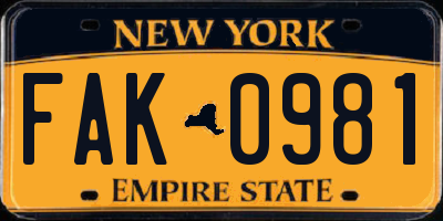 NY license plate FAK0981