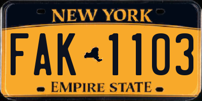 NY license plate FAK1103