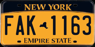 NY license plate FAK1163