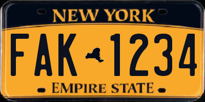 NY license plate FAK1234