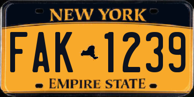 NY license plate FAK1239