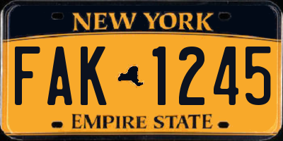 NY license plate FAK1245