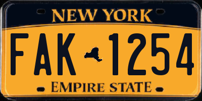 NY license plate FAK1254