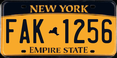 NY license plate FAK1256