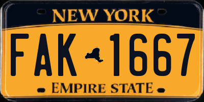 NY license plate FAK1667