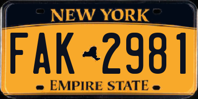 NY license plate FAK2981