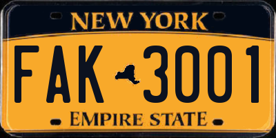 NY license plate FAK3001