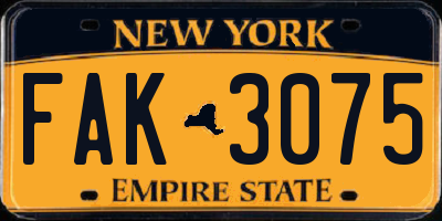 NY license plate FAK3075