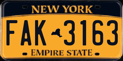 NY license plate FAK3163