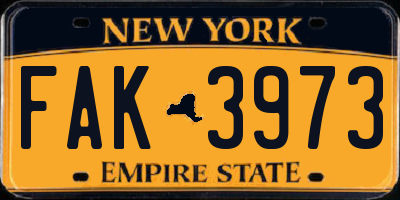 NY license plate FAK3973