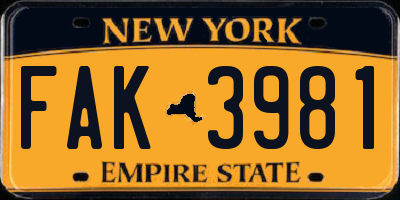 NY license plate FAK3981