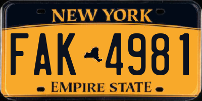 NY license plate FAK4981