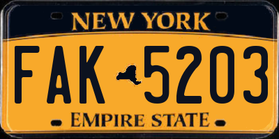 NY license plate FAK5203