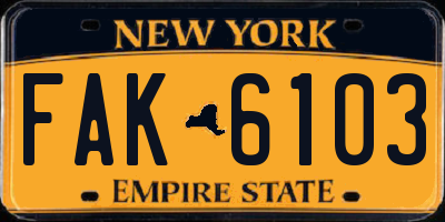 NY license plate FAK6103