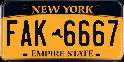 NY license plate FAK6667