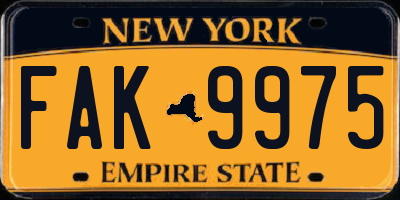 NY license plate FAK9975