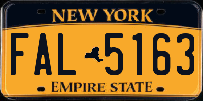 NY license plate FAL5163