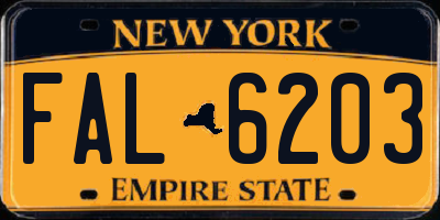 NY license plate FAL6203