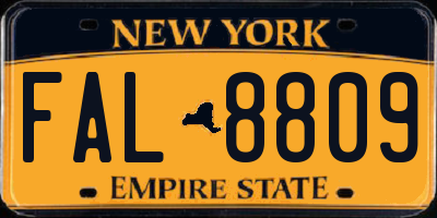 NY license plate FAL8809