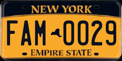 NY license plate FAM0029