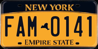 NY license plate FAM0141