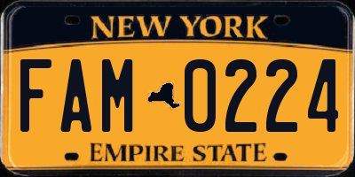 NY license plate FAM0224