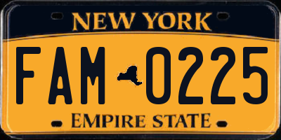 NY license plate FAM0225
