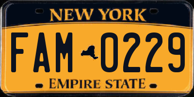 NY license plate FAM0229