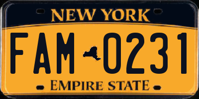 NY license plate FAM0231