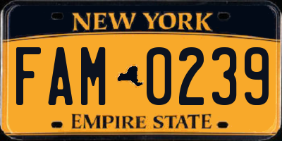 NY license plate FAM0239