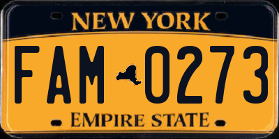 NY license plate FAM0273