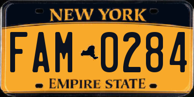 NY license plate FAM0284