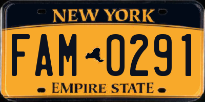 NY license plate FAM0291