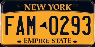 NY license plate FAM0293