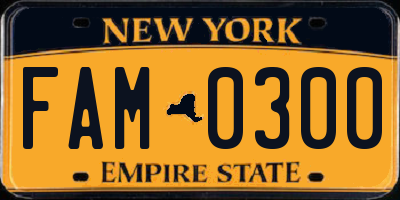 NY license plate FAM0300