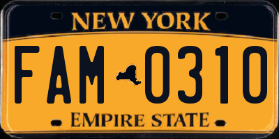NY license plate FAM0310