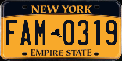 NY license plate FAM0319