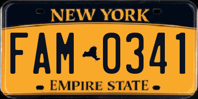 NY license plate FAM0341
