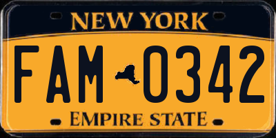 NY license plate FAM0342