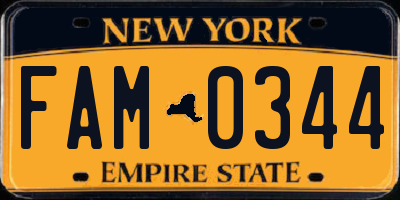 NY license plate FAM0344