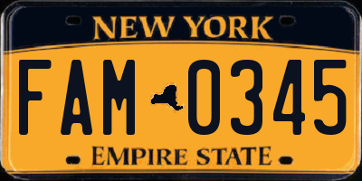 NY license plate FAM0345